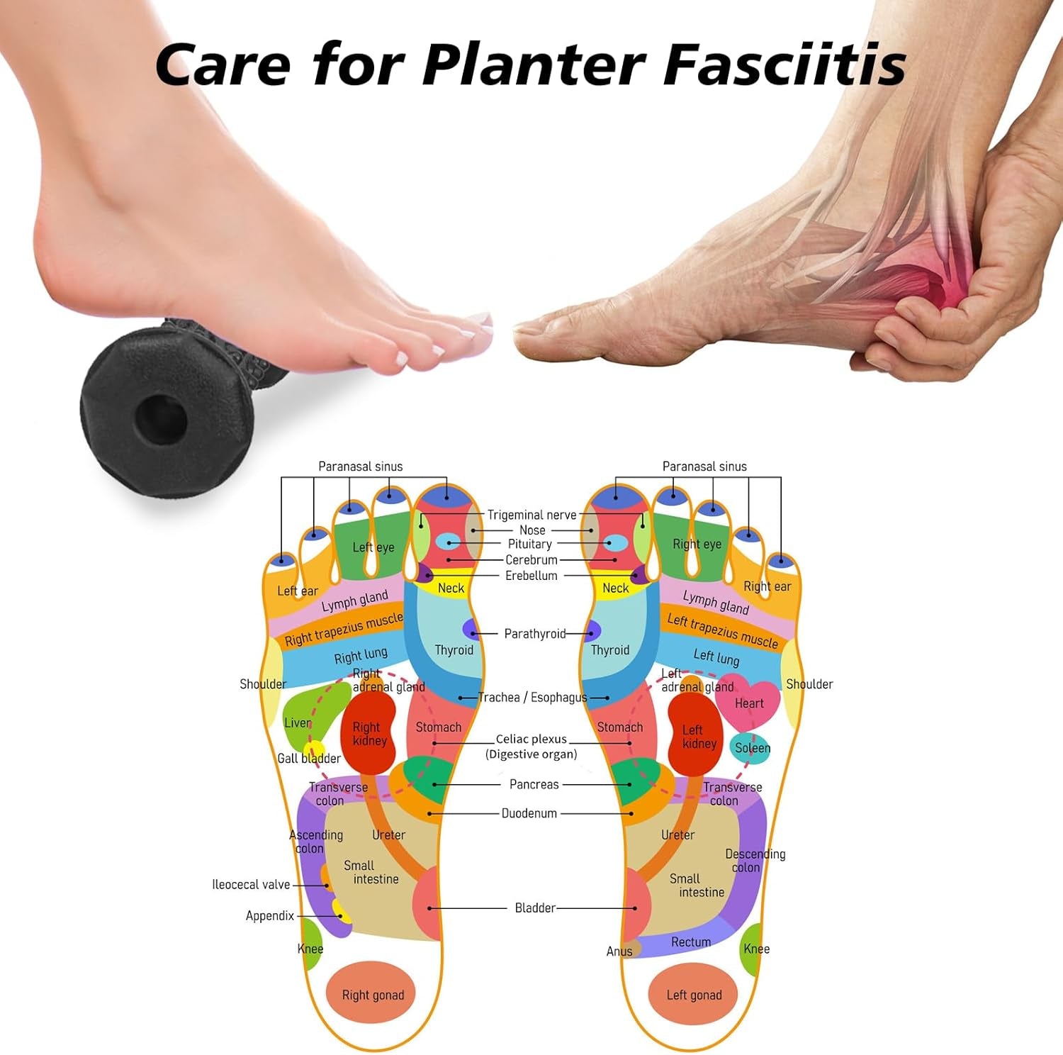 Foot Recovery Set – Plantar Fasciitis & Deep Tissue Relief Kit